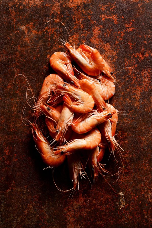 Crevettes Roses de Madagascar